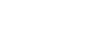 Nederland ICT Logo