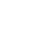 PSE Logo